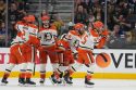 Ducks Golden Knights Hockey