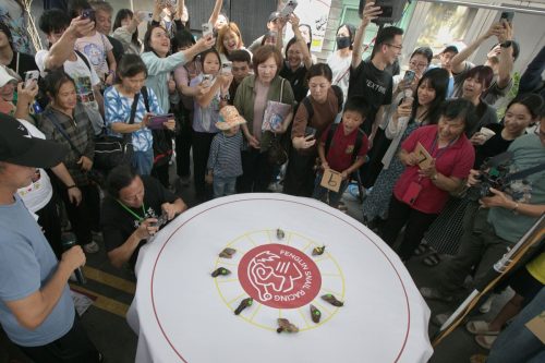 Taiwan Snail Town