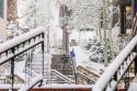 West Snow