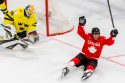Switzerland World Championship Ice Hockey