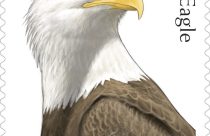 Eagle Stamps