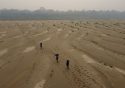 Climate Next Five Years