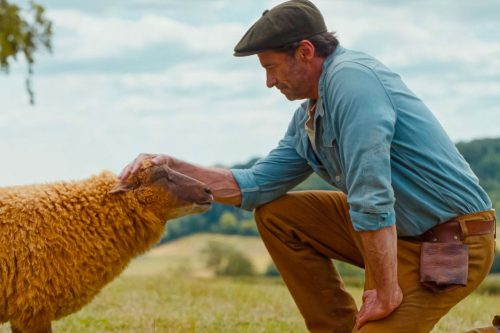 Film Review - The Sheep Detectives