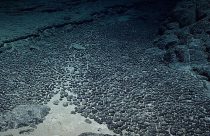 Deep-Sea Mining