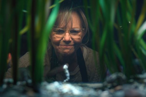 Film Review - Remarkably Bright Creatures