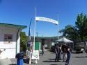 Calaveras County Fair - Photo by BJ Hansen