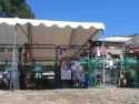 Calaveras County Fair - Photo by BJ Hansen