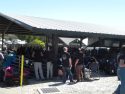 Calaveras County Fair - Photo by BJ Hansen