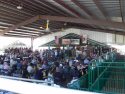 Calaveras County Fair - Photo by BJ Hansen