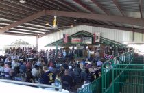 Calaveras County Fair - Photo by BJ Hansen