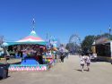 Calaveras County Fair - Photo by BJ Hansen