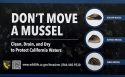 Don't Move A Mussel