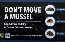 Don't Move A Mussel