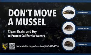 Don't Move A Mussel