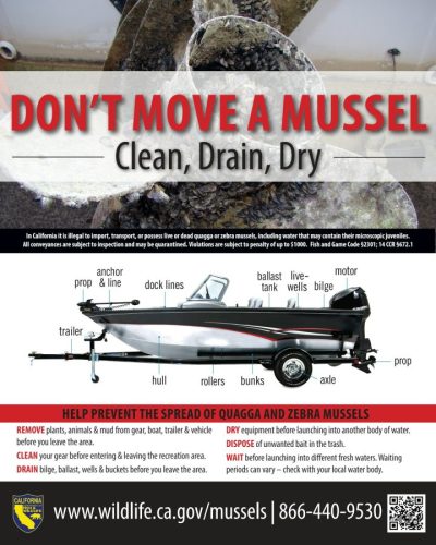 Clean Drain Dry Poster