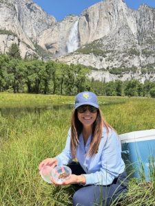 Yosemite Conservation Effort Releases 10,000th Red-Legged Frog