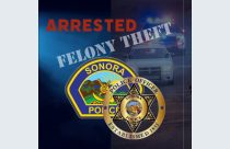 SPD felony theft graphic