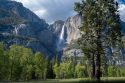 Yosemite National Park - NPS Image
