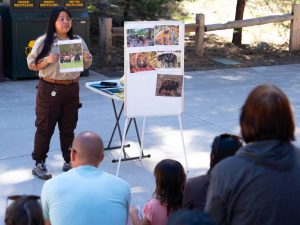 Yosemite Volunteer Programs