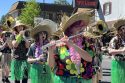 The 67th annual Tuolumne County Sheriff's Posse Mother Lode Round-Up Parade—Photo: Tracey Petersen