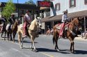 The 67th annual Tuolumne County Sheriff's Posse Mother Lode Round-Up Parade—Photo: Tracey Petersen