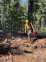 Stanislaus National Forest Sugar Pine Ranger District began ignitions this morning for the prescribed fire on the Sierra Nevada Adaptive Management Experiment unit (AMEX) -- STF photo