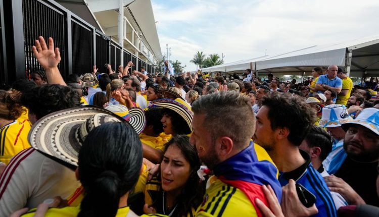 WCup Colombia Fans