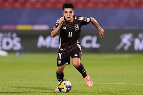 WCup Young Stars Soccer