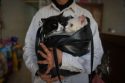 Palestinians Gaza's Pets