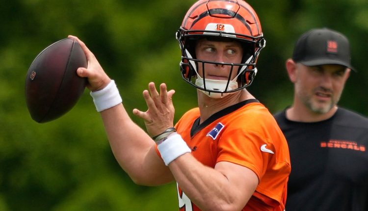 Bengals Football