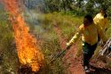 Brazil Indigenous Fighting Wildfires
