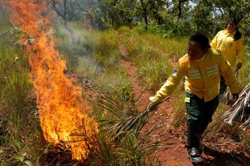 Brazil Indigenous Fighting Wildfires