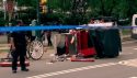 Horse Carriage Death