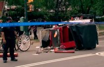 Horse Carriage Death