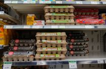 Egg Prices Settlement