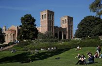 Education Trump Colleges