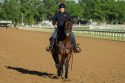 Belmont Stakes Horse Racing