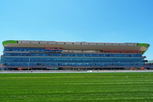 Belmont Stakes A Year From New York Horse Racing