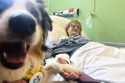APTOPIX Poland Pets in Hospitals