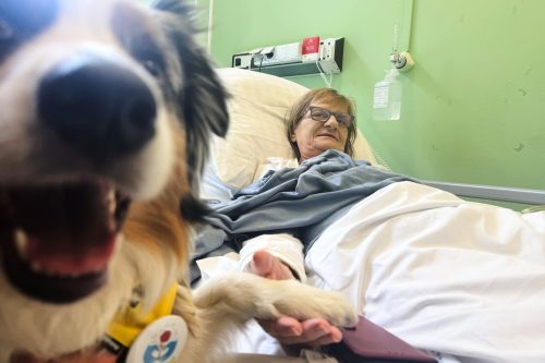 APTOPIX Poland Pets in Hospitals