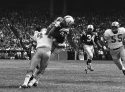 Obit Raymond Berry Football