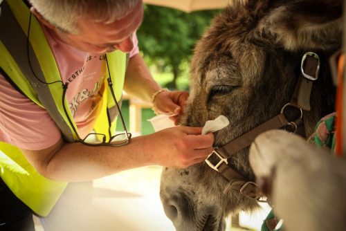 APTOPIX France Donkey Therapy