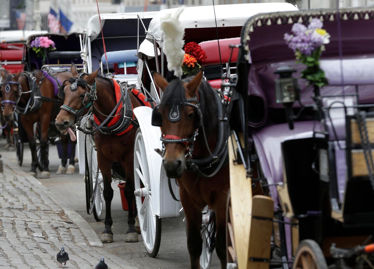 New York mayor, other leaders push to end horse carriage industry after Indian teen’s death