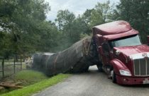 Beehives Truck Crash