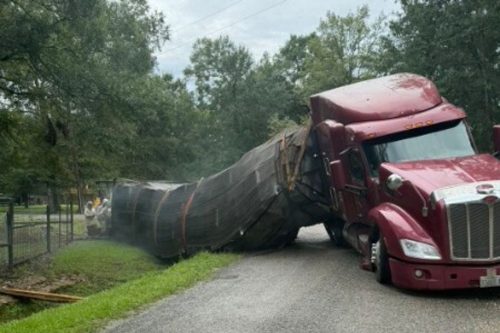 Beehives Truck Crash