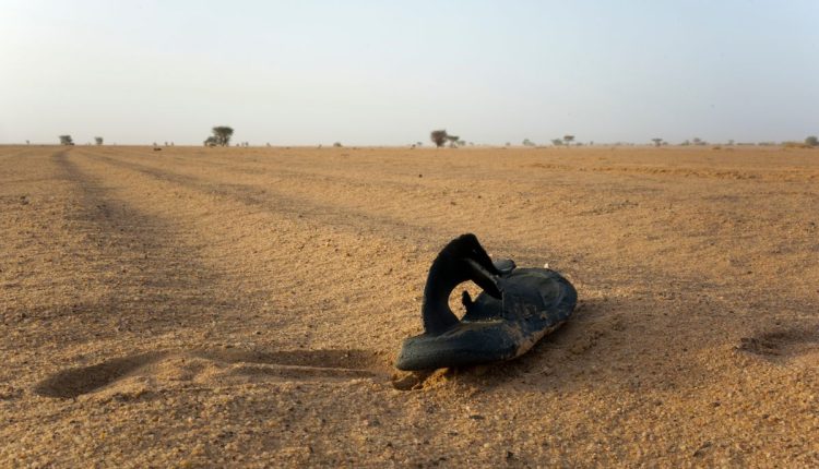 Niger Desert