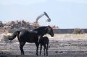 Montenegro Balkans Extreme Weather Heat