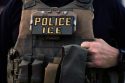 IRS ICE Agreement