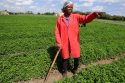 Africa Solar Agriculture