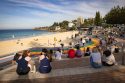 Australia Shark Attack